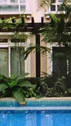 Robertson 100 (D9), Apartment #159766412